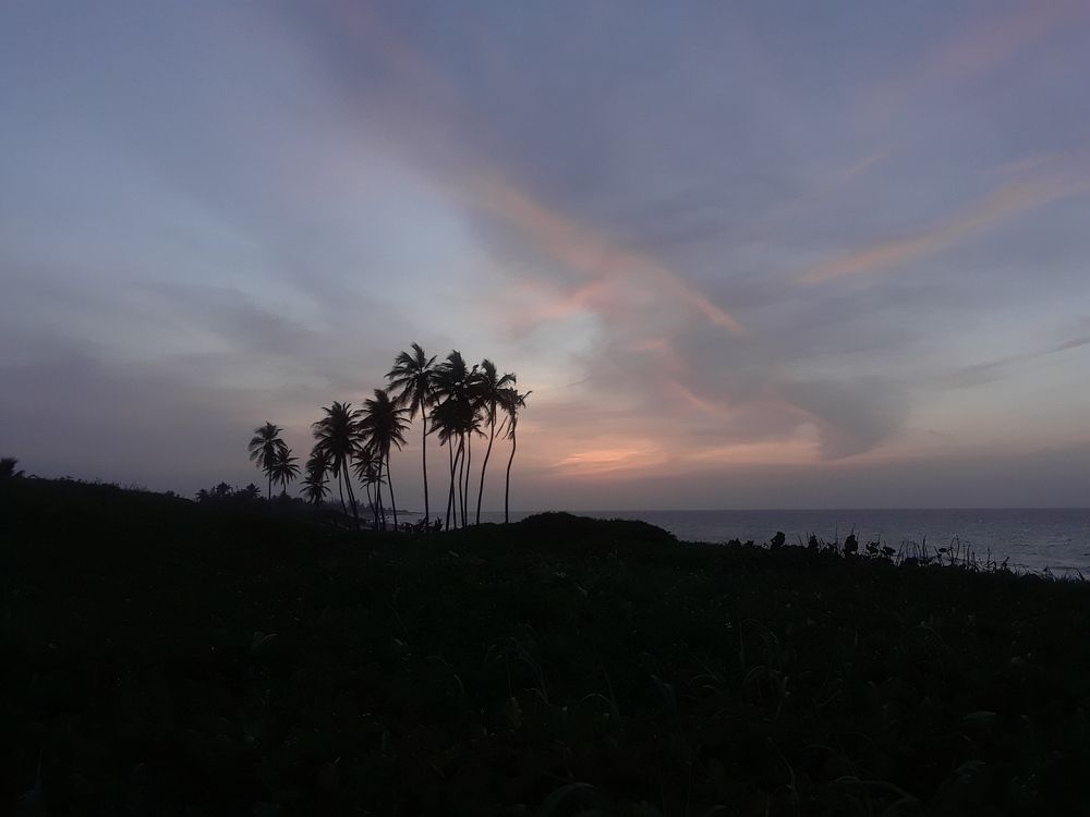 Фотография автора Jose manuel Querol