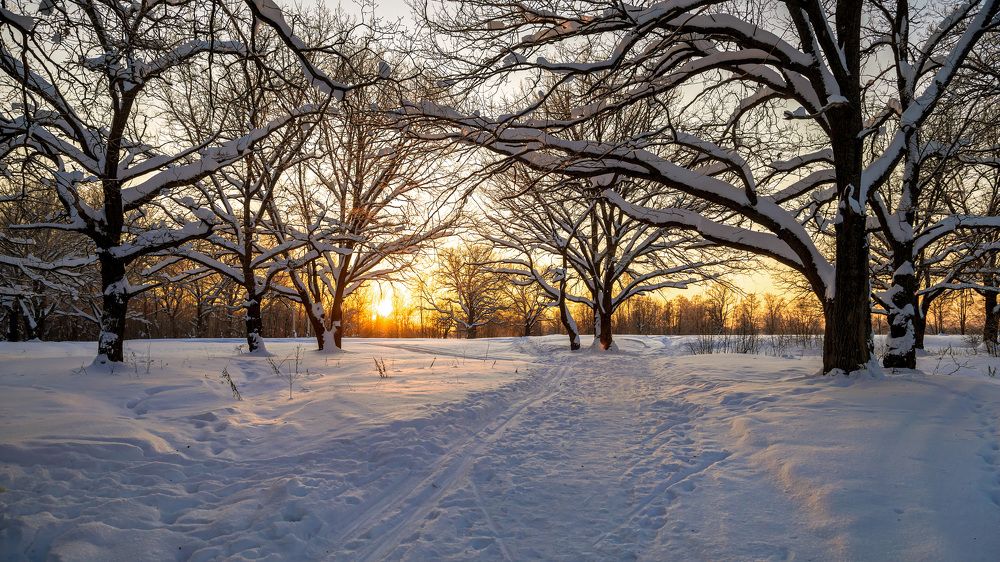Photograph by Владимир Карпов