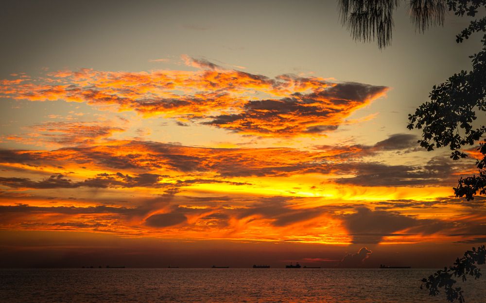 Фотография автора SOO YIT KONG