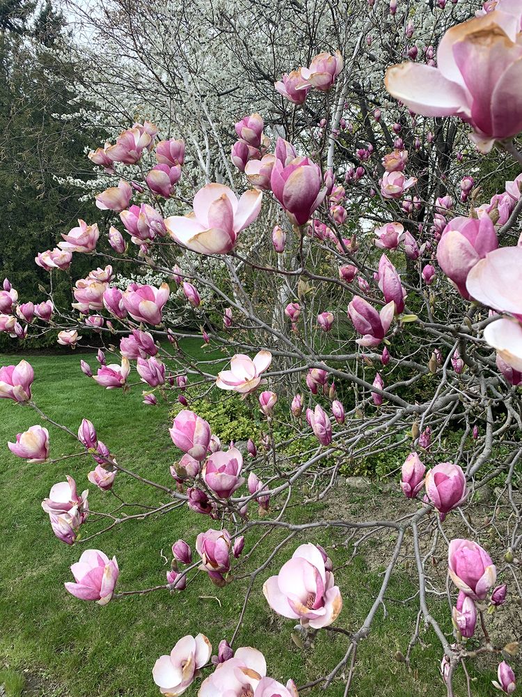 Photograph by Liliana Grup