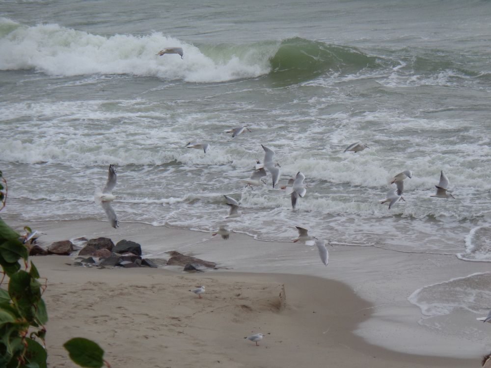 Photograph by Артур Устиловский