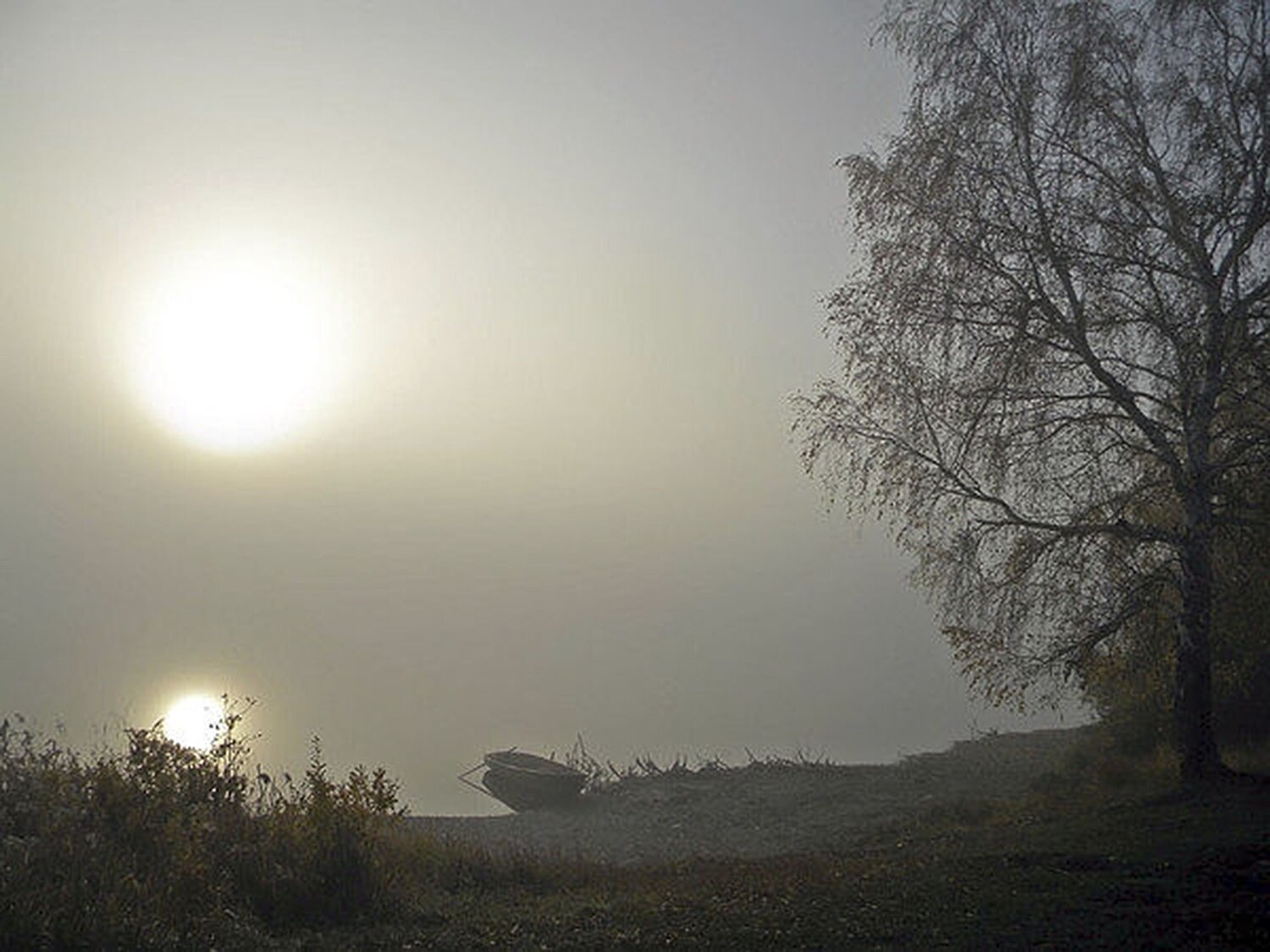 Photo #6953544