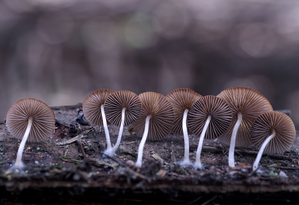 Photograph by Chuah Christopher