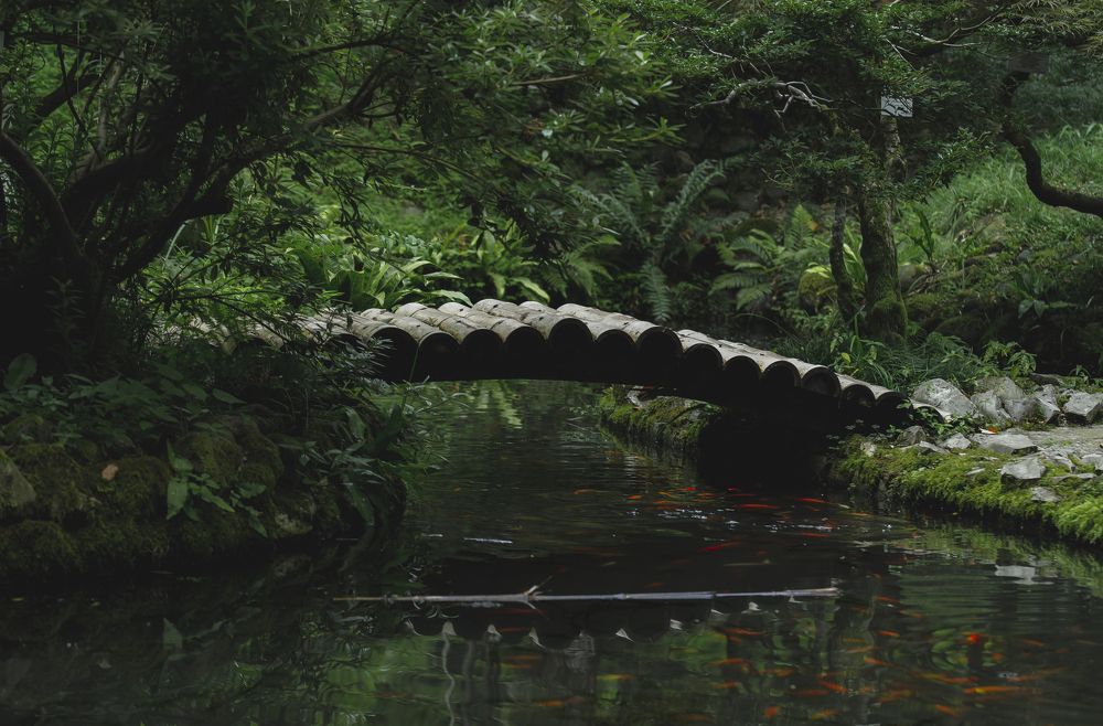 Batumi Botanical Garden