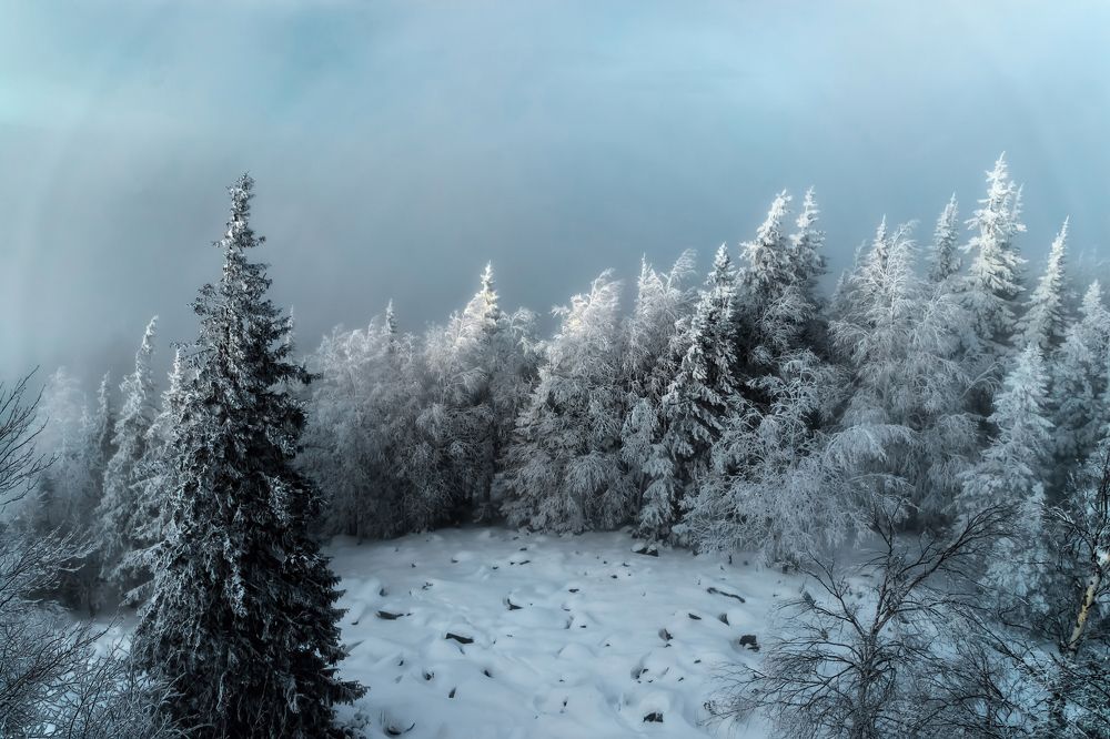 Photograph by Николай Диордиев