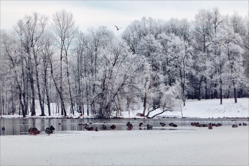 Photograph by Игорь Майоров