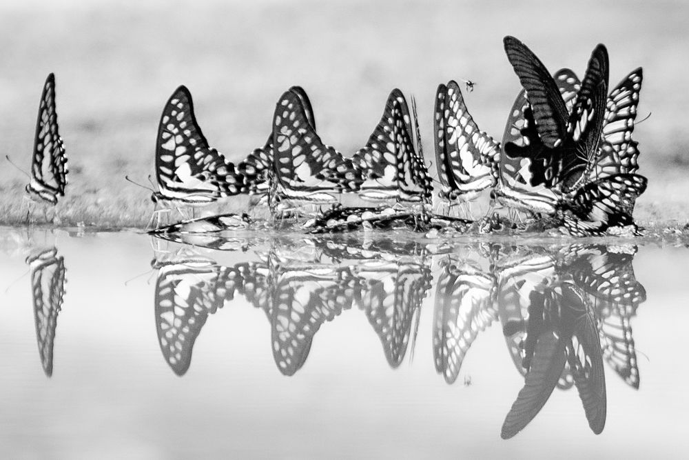 Photograph by LAM VU SON