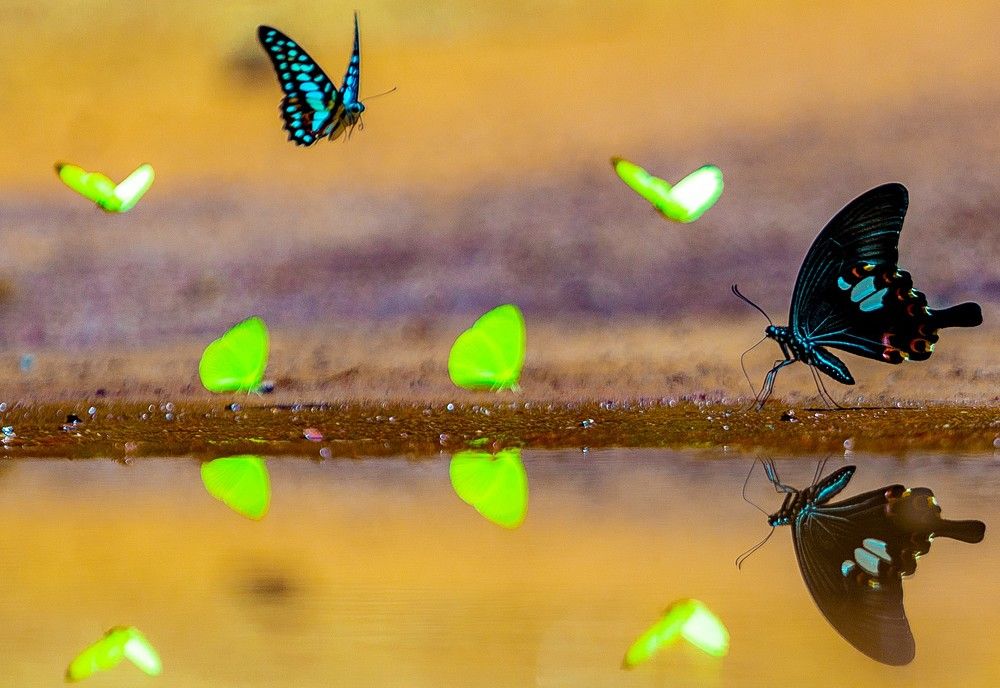 Photograph by LAM VU SON