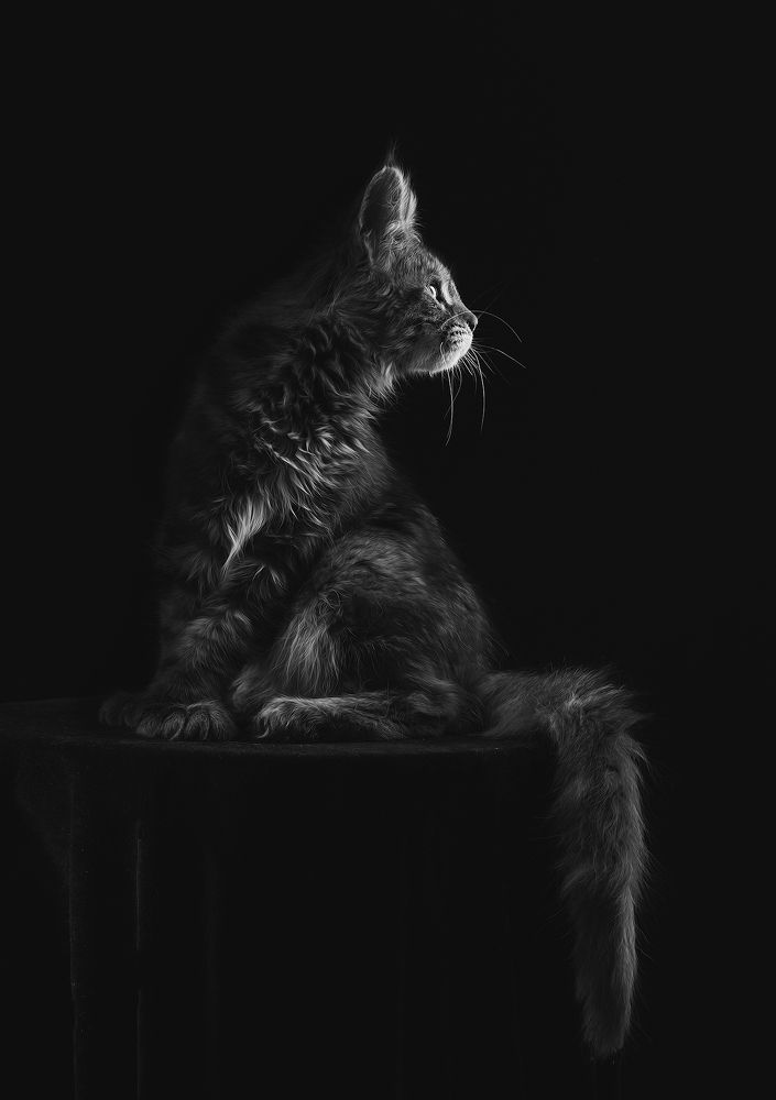 Photograph by 王 饼叔