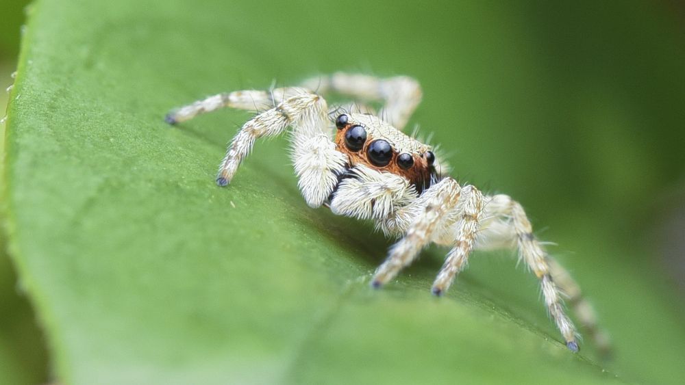 Photograph by Ng Max