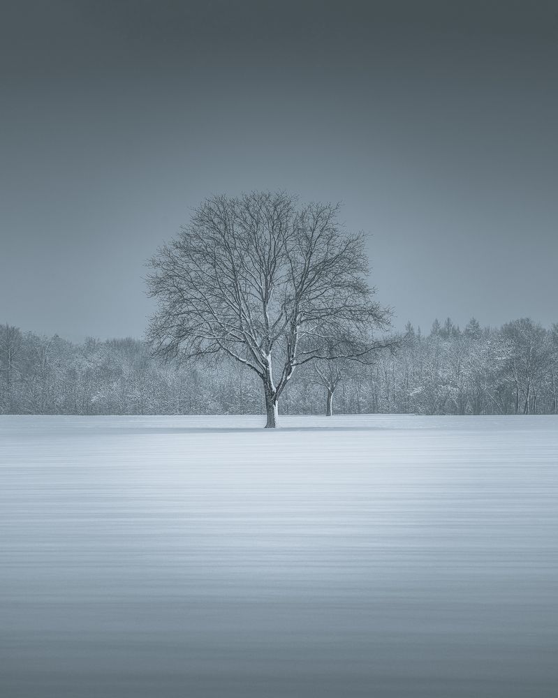 Photograph by Marko Klavs