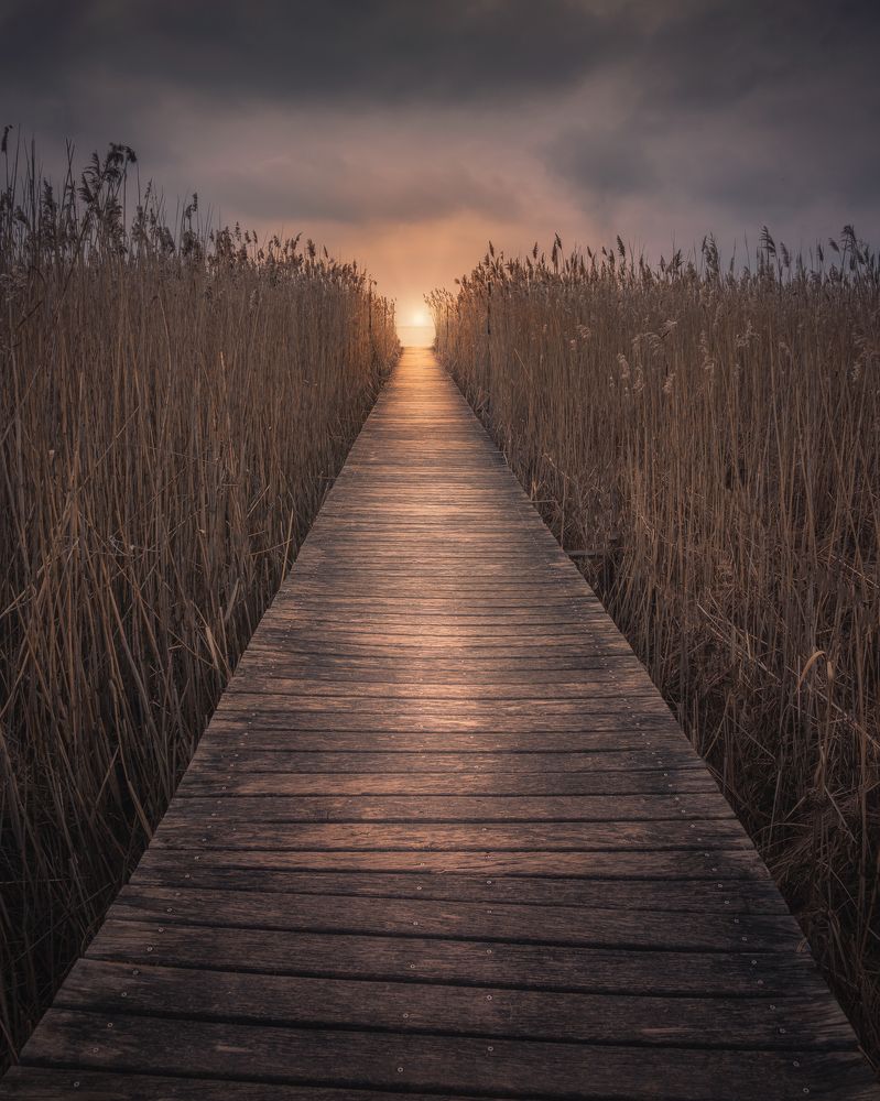 Photograph by Marko Klavs