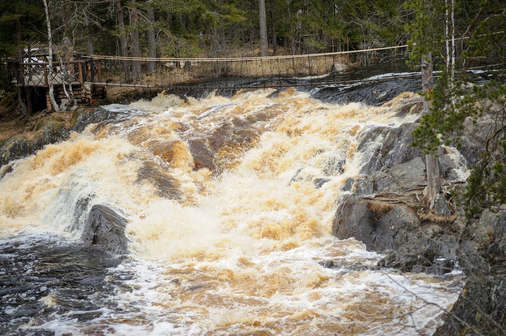 Photograph by Михаил