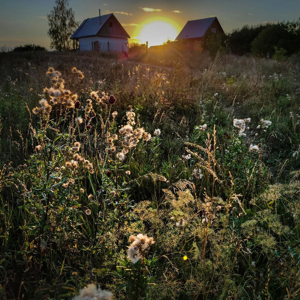 Photograph by Альберт Загиров