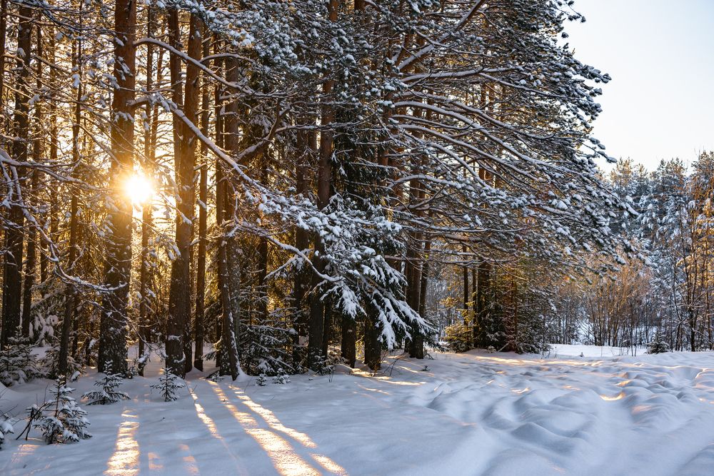 Photograph by Юрий Киреичев