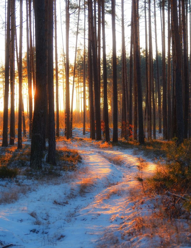 Фотография автора Андрей