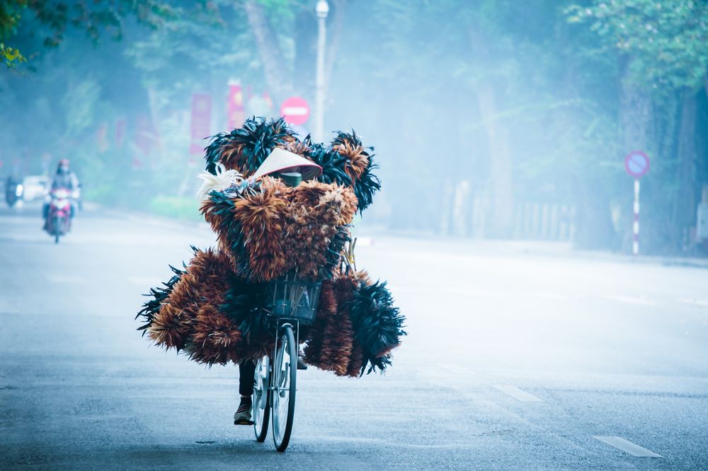 Photograph by son dam minh