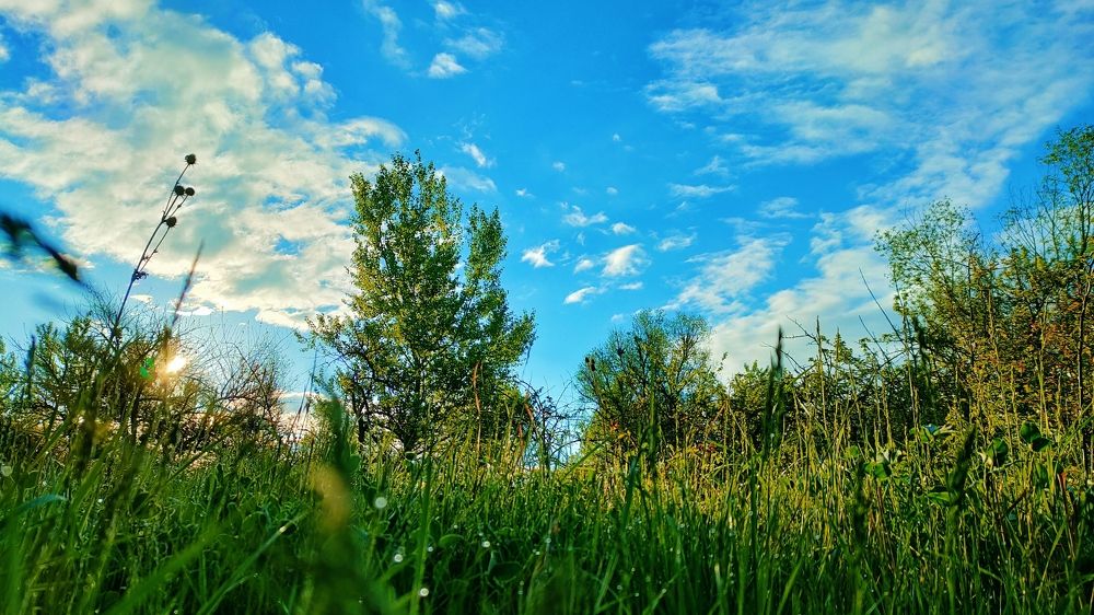 Photograph by Дмитрий Унагаев