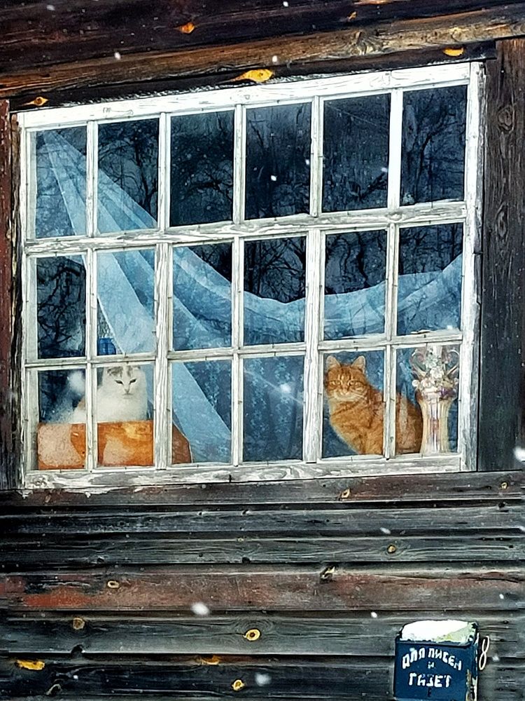 Photograph by Мария Воронцова