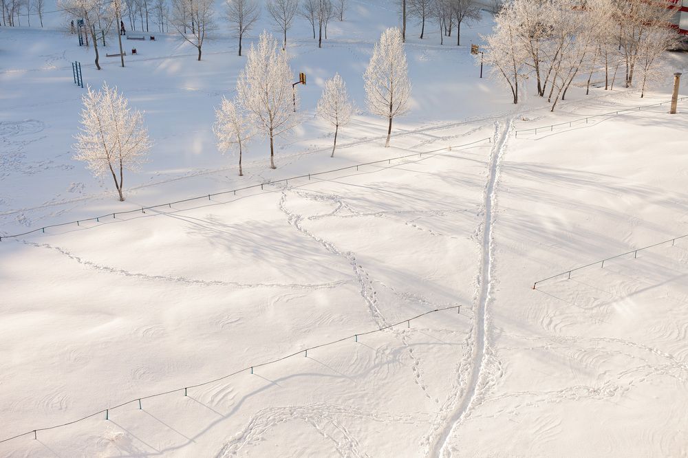 Photograph by Марина Комина