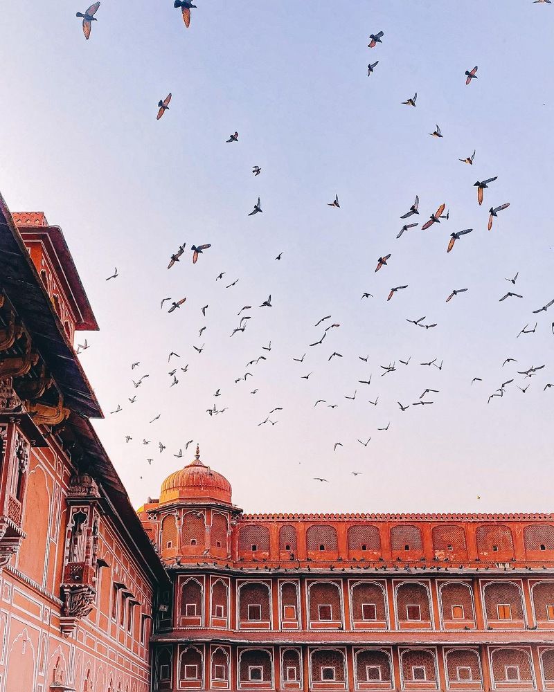 Photograph by VS Vlog's