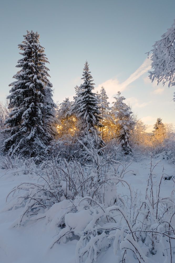 Photograph by Николай Константинов