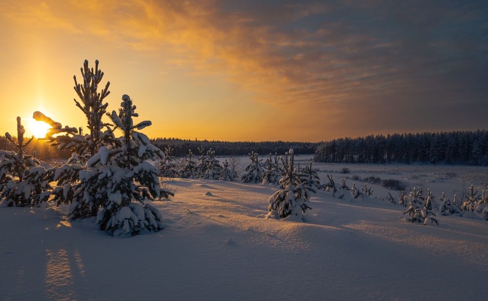 Photograph by Николай Константинов