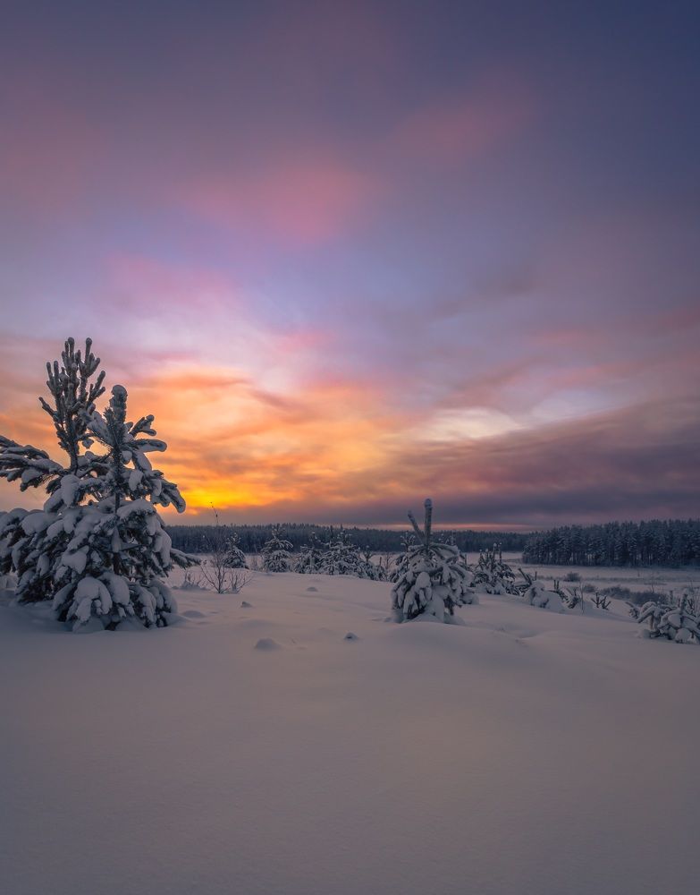 Photograph by Николай Константинов