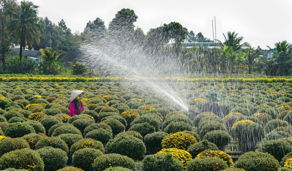 Photograph by NGUYEN THANH HAI