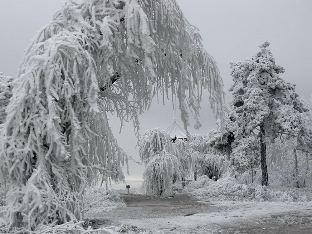 Photograph by Сергей