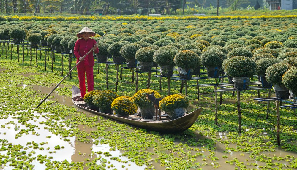 Photograph by NGUYEN THANH HAI