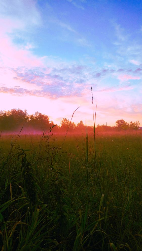 Photograph by Елена Леонидовна