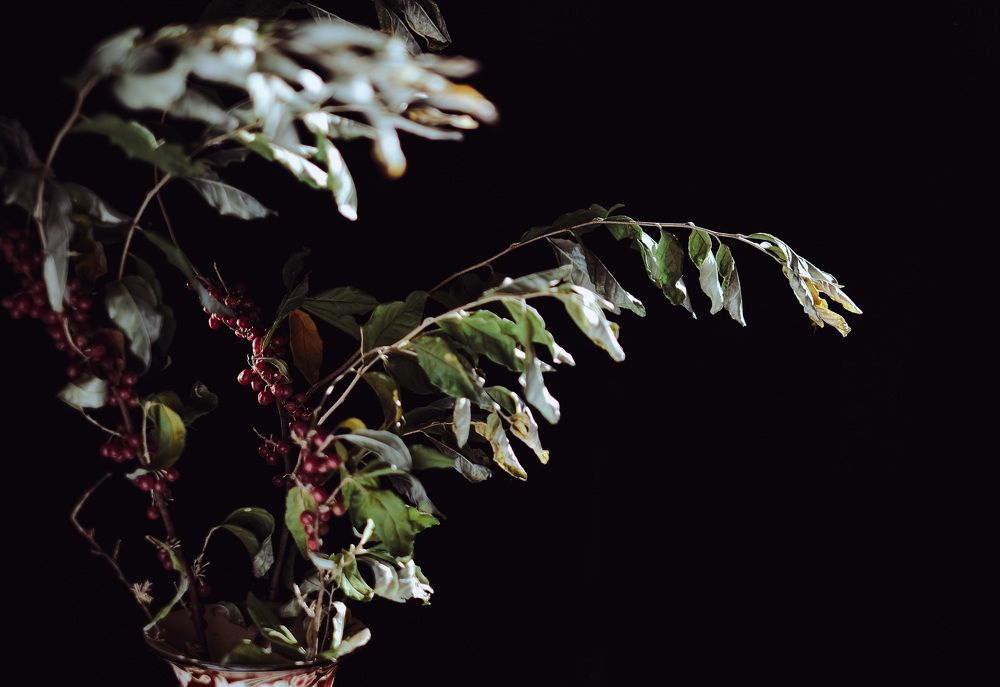 Photograph by Александра Боброва