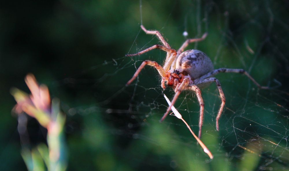 Photograph by Вадим Буцыкин