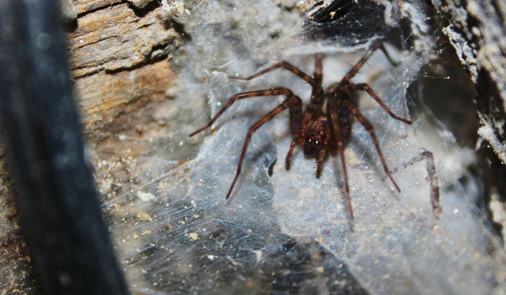 Photograph by Вадим Буцыкин