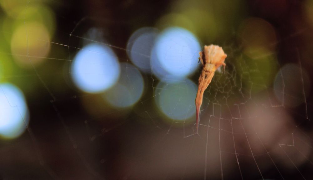 Photograph by Вадим Буцыкин