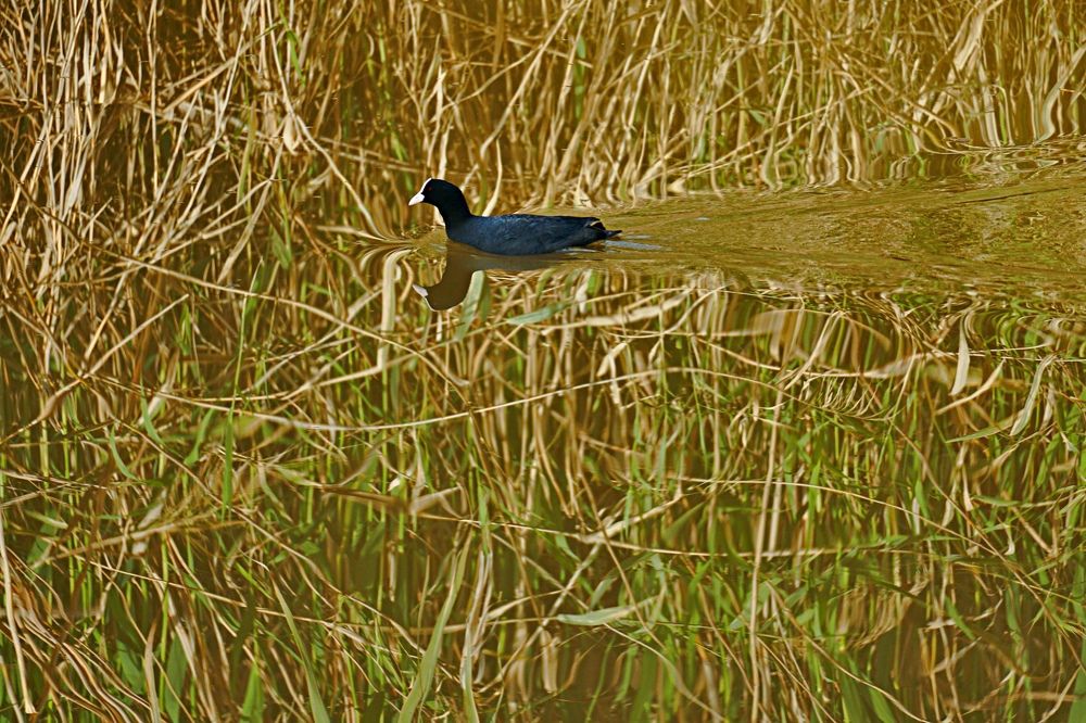 Photograph by Arkady Sandler