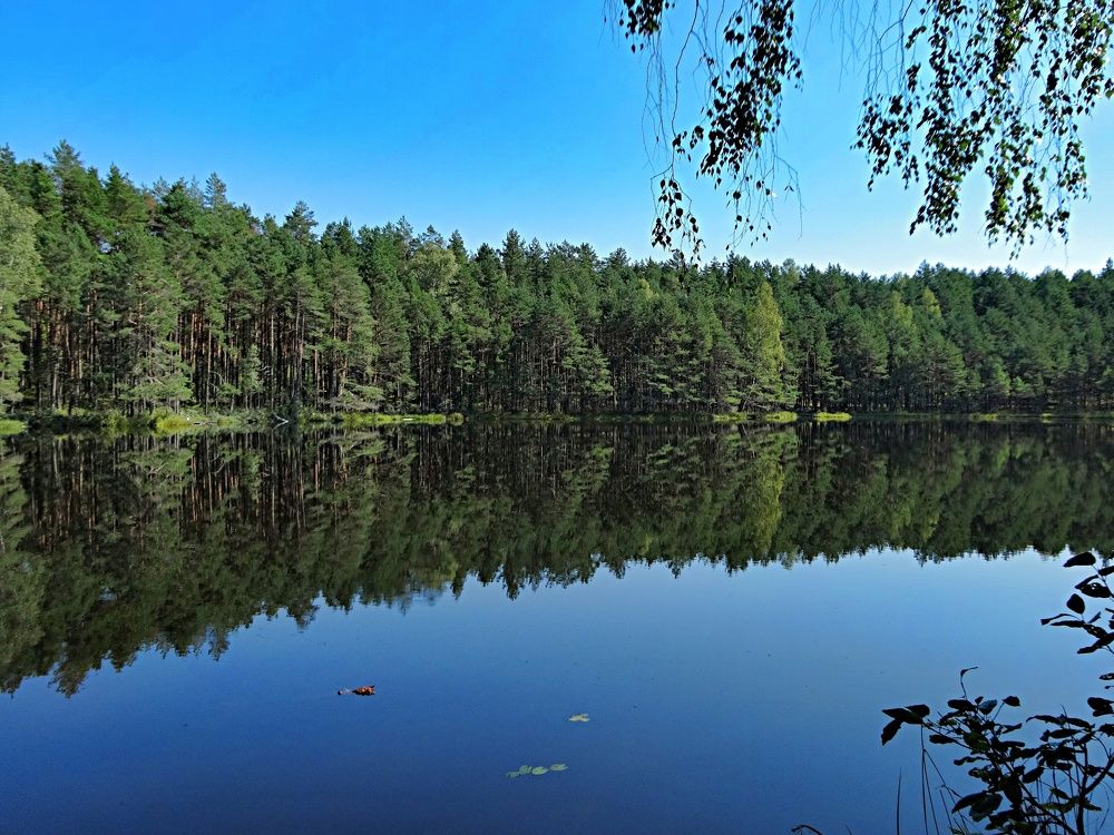 Photograph by Arkady Sandler