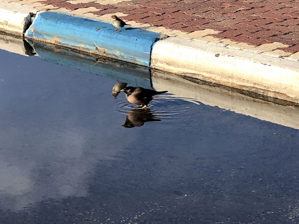 Photograph by Arkady Sandler