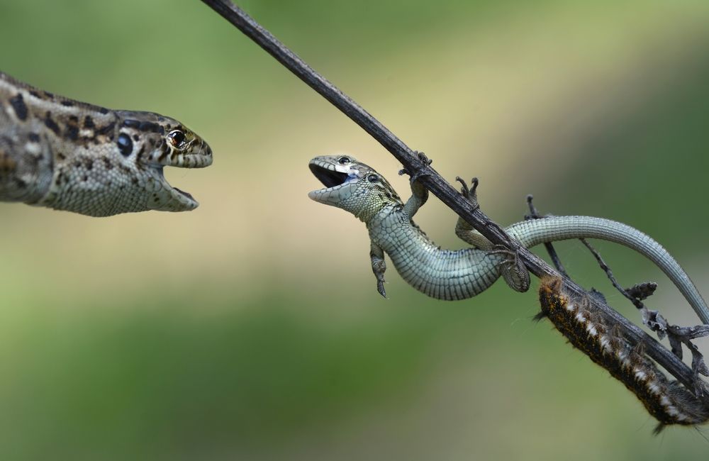 Photograph by Лапшина Владлена