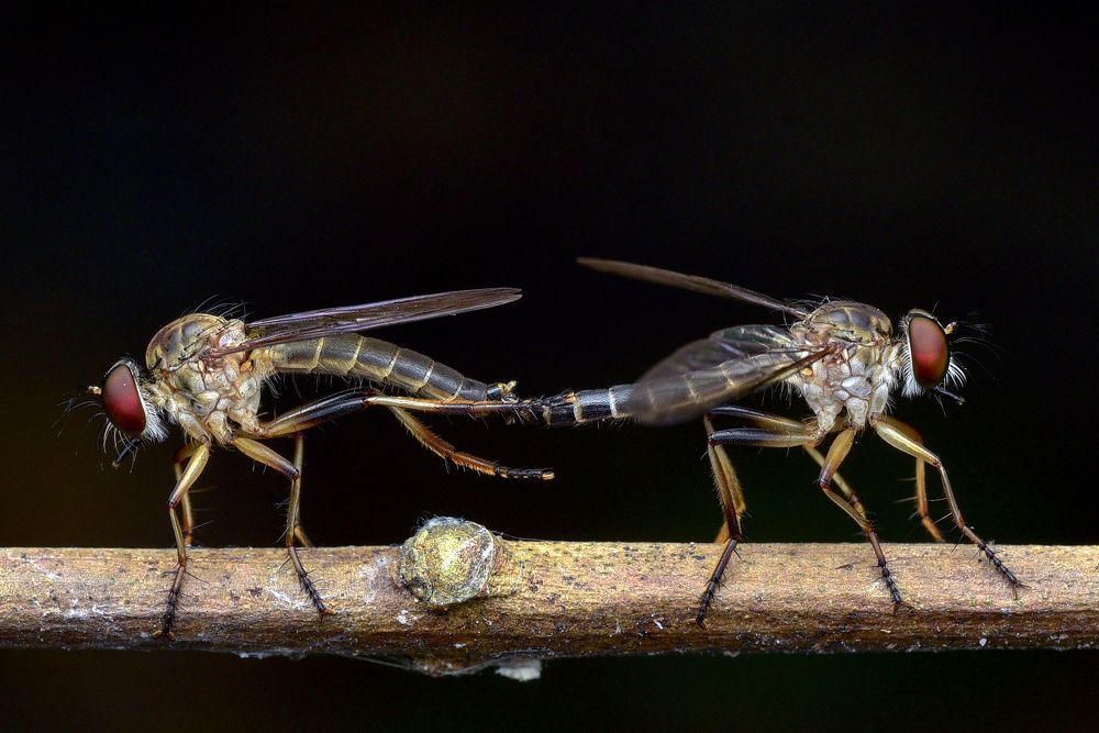 Photograph by KAIYEN LEE