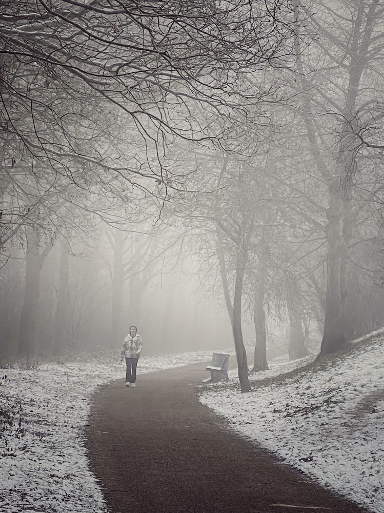 Photograph by Lila Sabbaghian Rad