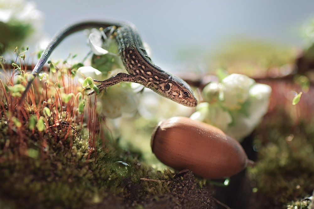 Photograph by Лапшина Владлена