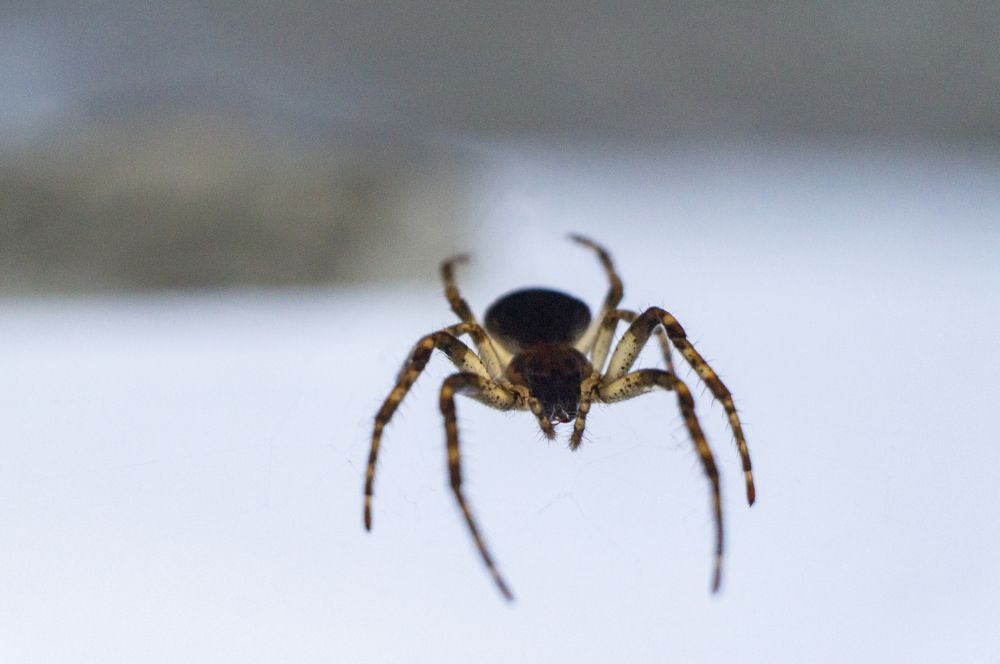 Photograph by Павел Минкевич