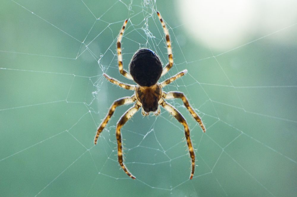 Photograph by Павел Минкевич