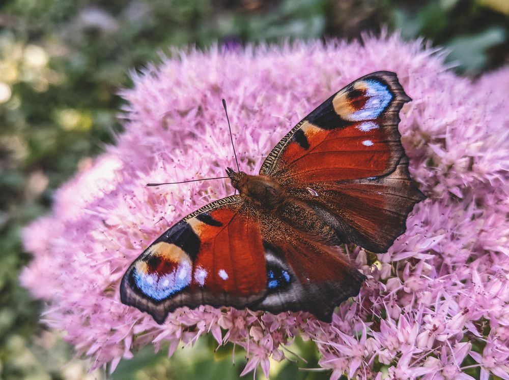 Photograph by Павло Юрасюк