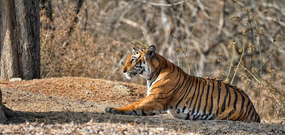 Photograph by Anantha ramu Mudagandur