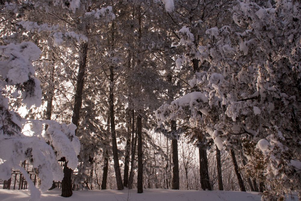 Фотография автора sose