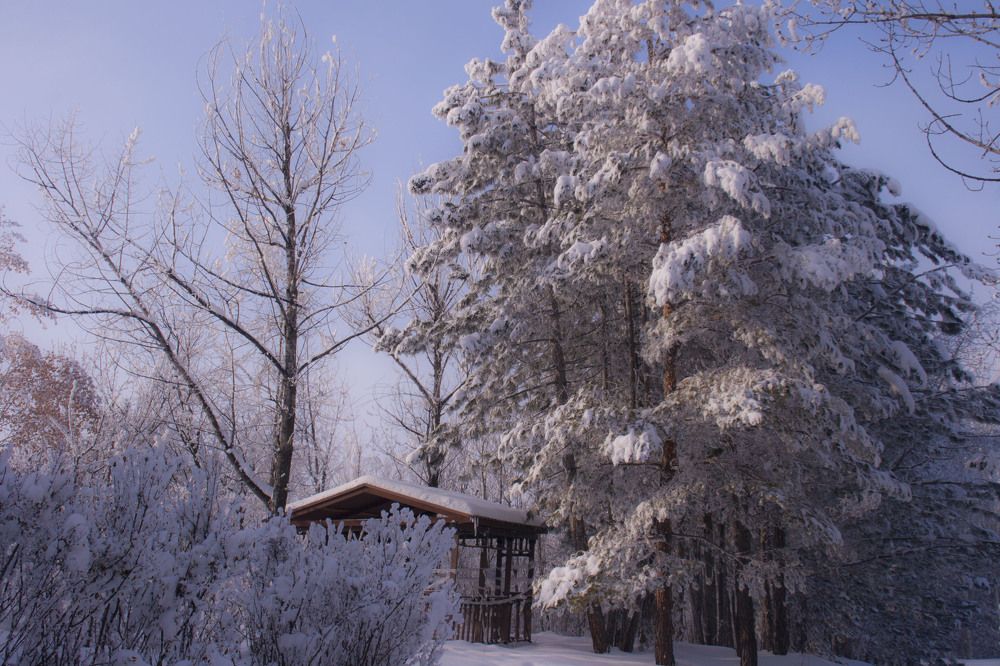 Фотография автора sose