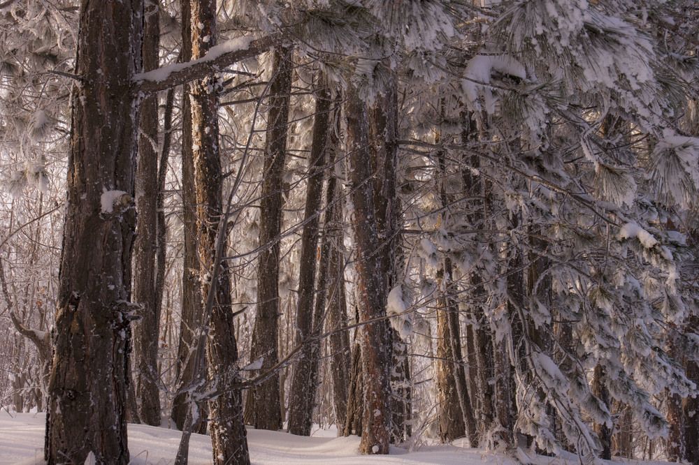 Фотография автора sose